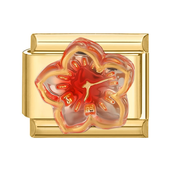 Image de 1 Pièce Maillons de Charme Italiens pour la Fabrication de Bijoux de Montres-Bracelets Modulables à Faire Soi-Même En Gros Élégant en 304 Acier Inoxydable Doré Rouge Orangé Rectangle Fleurs 10mm x 9mm
