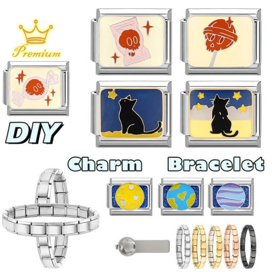 Picture of 1 Piece 304 Stainless Steel Stylish Italian Charm Links For DIY Bracelet Jewelry Making Wholesale Silver Tone Black Rectangle Cat 10mm x 9mm